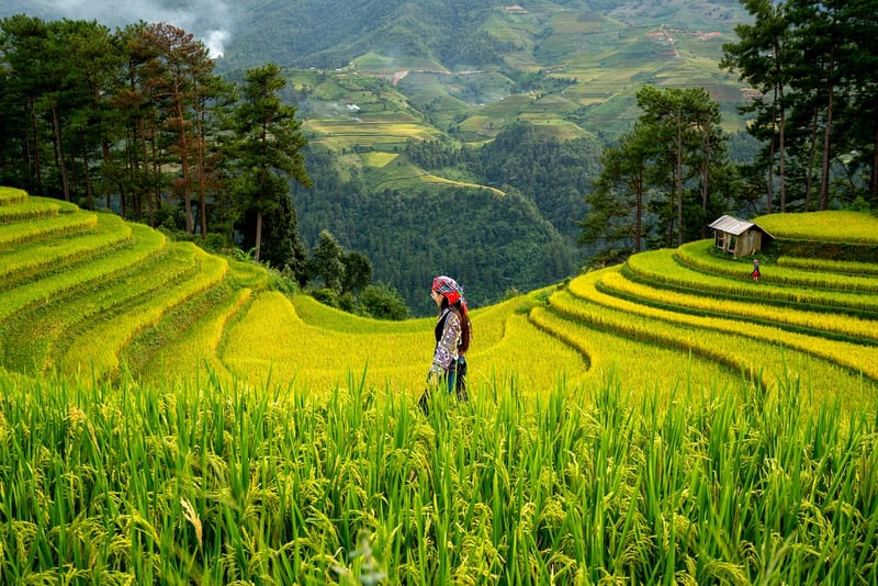 Sustainable Living
